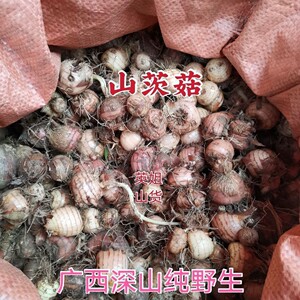 中药材山慈菇 山茨菇算盘七 冰球子广西野生500g包邮(正品鲜货)