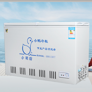 【小鸭冰柜商用】小鸭冰柜商用品牌,价格 - 阿里巴巴