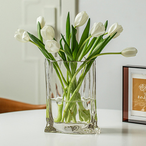 花瓶玻璃高级感摆件插花客厅轻奢餐桌郁金香透明水养法式水培创意