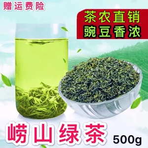 正宗崂山绿茶2023新茶一级浓豆香型散装500g高山云雾山东青岛特产