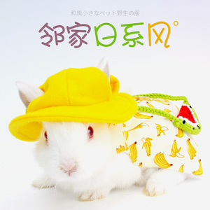 网红兔子衣服宠物荷兰猪小兔子垂耳兔兔穿的秋冬保暖用品装饰帽子
