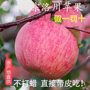 华圣陕西洛川红富士苹果水果新鲜应当季脆甜冰糖心整箱官方旗舰店