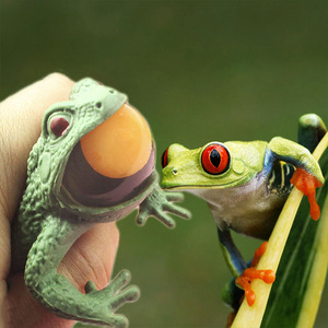 【送蜈蚣蟑螂】仿真青蛙模型小动物蛤蟆五毒解压发泄下蛋蛙挤蛋蛙