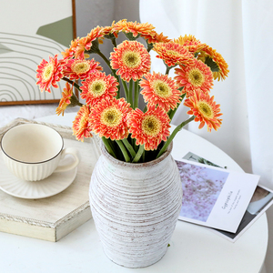 非洲菊鲜花云南昆明基地直发扶郎花束直批速递家用礼品水养鲜切花