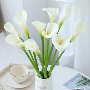 白色马蹄莲鲜花云南昆明基地直发婚庆礼品家用办公室水养鲜切花束