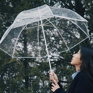 长柄透明伞女网红雨伞拍照高级感创意小清新ins风白色磨砂伞定制