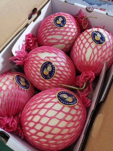 正宗海南林氏蜜瓜晓蜜瓜甜蜜瓜白兰瓜软甜5-6粒原箱发货