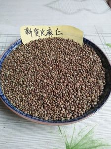 中药材火麻仁