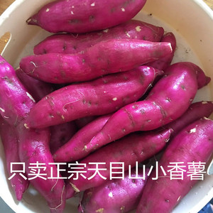现挖心香红薯 农科院正宗临安天目山小香薯地瓜山芋板栗番薯 5斤