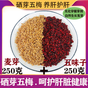 硒芽五梅养肝麦芽五味子茶中药材清肝明目去火排毒硒北五味子梅子