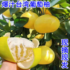 黄金爆汁葡萄柚福建管溪蜜柚台湾西柚平和官溪红心柚子新鲜水果