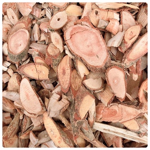 中药材战骨1000g 广西产野生土霸王 穿云箭 追骨风 黄毛豆