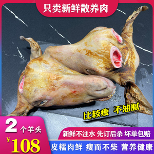 带皮羊头新鲜现杀带皮羊头整只食用羊头山羊脑羊脸羊头 羊头肉
