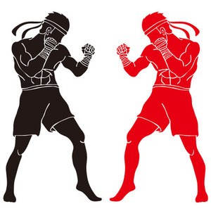 泰拳贴画