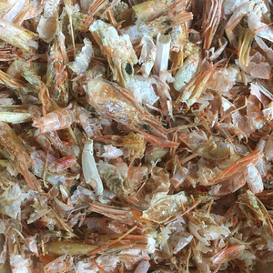 洞头海虾虾壳干虾壳糠虾粉饲料鸽子猪鸡鸭鱼等禽畜500g熬汤做汤底