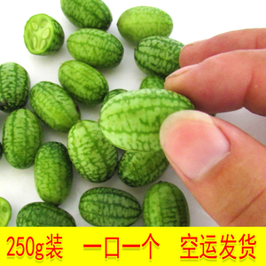 特色拇指西瓜新鲜水果绿瓢迷你网红小型西瓜佩普基诺250g空运包邮