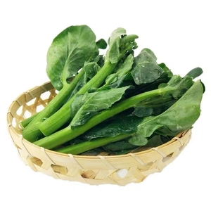 82优粤种业淘宝芥兰菜种籽广东四季高产宝宝芥蓝菜籽种盆栽青菜农家