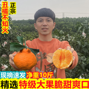 四川不知火丑橘子10斤新鲜水果当季整箱包邮丑八怪丑桔子丑柑