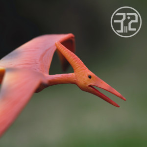 无齿翼龙 88039 英国collecta我你他仿真恐龙动物模型玩具翼龙