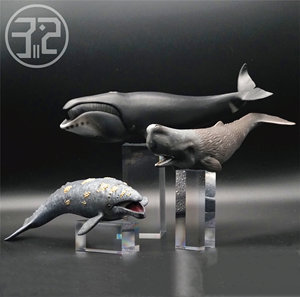 灰鲸弓头鲸抹香鲸 英国CollectA你我他仿真海洋动物模型玩具