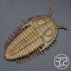 雷德利奇亚霸王三叶虫88906 2020款collecta仿真古生物模型玩具