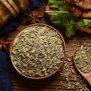 小茴香粉厨房调味品散装佐料香辛料炖肉大料卤肉烧烤卤制品调料包