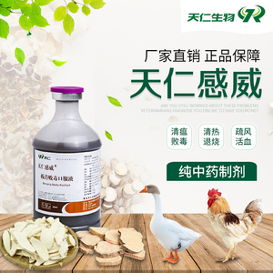 天仁板青败毒口服液纯中药兽用兽药鸡鸭鸽药抗病毒感冒流感企业店