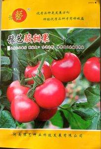 小番茄种子 豫艺种业 豫艺酸甜果 贼不偷番茄 小西红柿种子 包邮