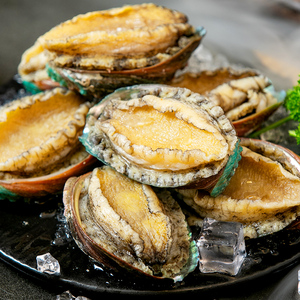 江船长新鲜鲍鱼鲜活10头冻煮特大鲍鱼海鲜水产福建鲍加热即食1斤