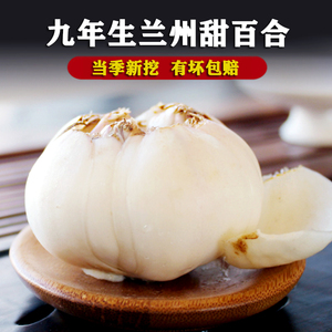 兰州百合新鲜食用特级二头皇甘肃特产甜糯九年百合1500g真空盒装