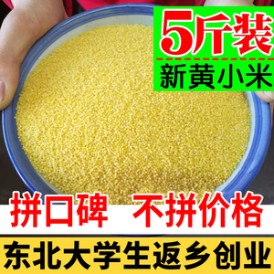 东北黄小米农家自产新鲜小黄米5斤装五谷杂粮黑龙江软糯香小米粥