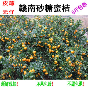 正宗江西南丰蜜桔早熟皮薄无核蜜橘新鲜水果橘子市山桔子现摘包邮