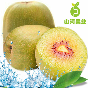 现货 陕西眉县红阳奇异果红心猕猴桃新鲜应季水果 猕胡桃10斤包邮
