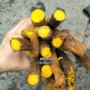 野生药材藤黄连 黄藤 古山龙 假黄连 大黄藤 鲜货500g