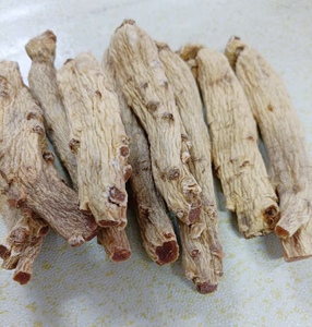 东洋参正品特级切片