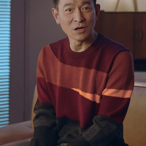 抖音明星刘德华仔同款拼接毛衣外套男士秋装2021新款羊毛衫针织衫
