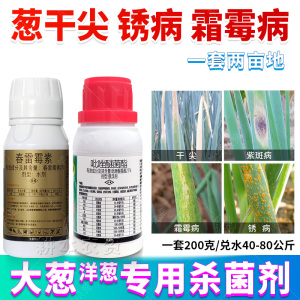 洋葱大葱锈病干尖叶黑褐紫斑霜灰霉病细菌病害全治专用杀菌剂农药