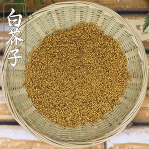 白芥子中药材云南野生白芥子 辣菜子 芥菜子