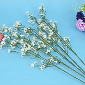 丝网花小满天星