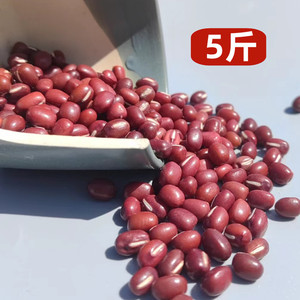东北红豆农家自种东北红小豆新鲜货五谷杂粮熬粥做豆沙专用5斤