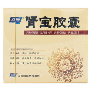 肾宝胶囊男性