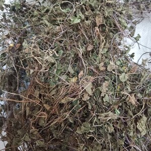 野生中药材透骨消 透骨草 连钱草 活血丹 驳骨草 接骨消500克包邮
