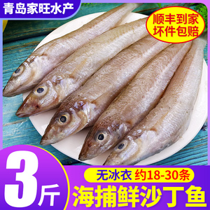 新鲜沙丁鱼深海海鱼沙冷冻鲜活鲜嫩海捕海鲜水产鲜美鱼类