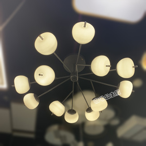 雷士照明正品苹果系列吊灯楼梯灯客厅餐厅卧室别墅分子灯bxdk1804