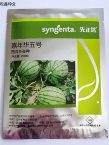 嘉年华五号 先正达西瓜籽 2021新种子早佳西瓜籽麒麟瓜水果种子