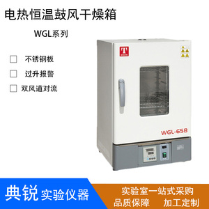 泰斯特电热恒温鼓风干燥箱立式工业烘箱300度WGL-65B WGL-125B