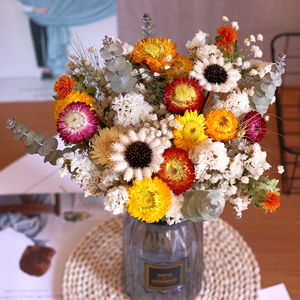 混搭小雏菊真花鲜花风干干花花束花卉永生满天星插花居家花艺云南