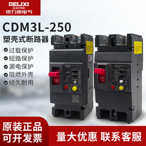 德力西CDM3L-250家用漏电开关2P 100A160A200A单相220V漏电保护器