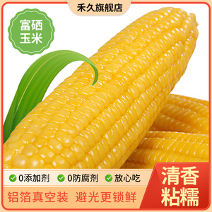 【富硒玉米】禾久有机甜糯玉米鲜食粘黏玉米棒真空装粗粮代餐8根