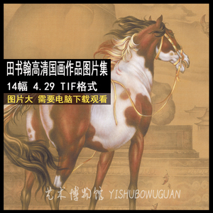 g82 田书翰高清工笔骏马作品图片临摹参考图片素材14张 国画素材